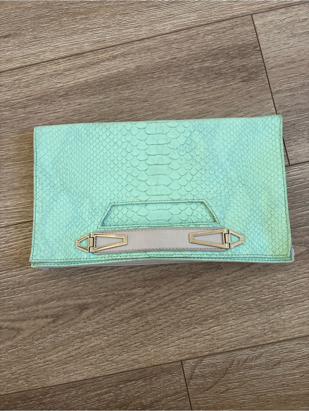 Danielle Nicole Mint Green Textured Clutch with Gold Accent